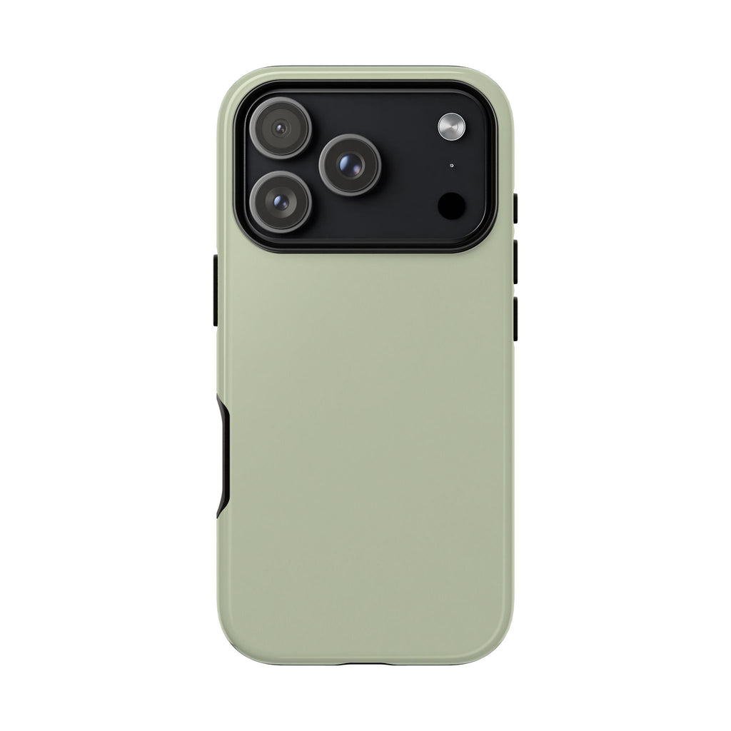 Sage Cloud Case