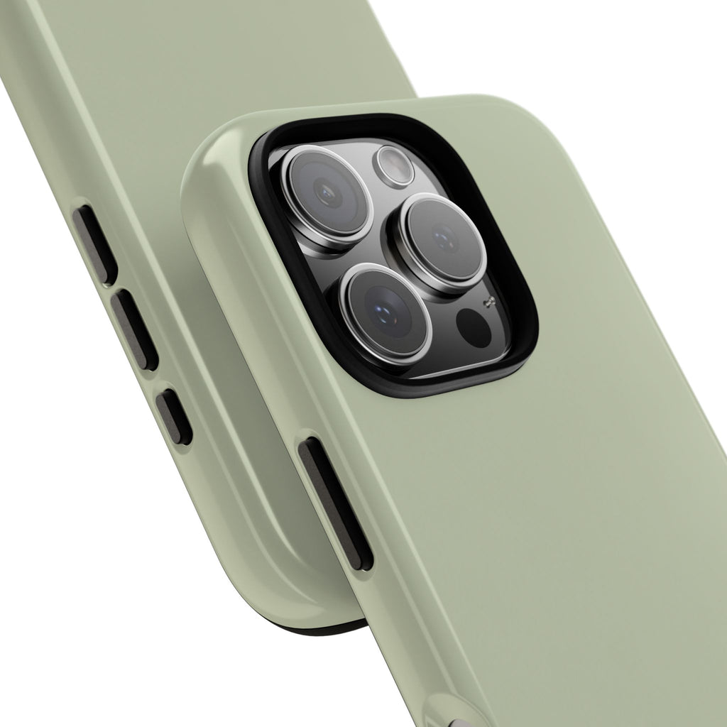 Sage Cloud Case